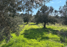 LAPSEKI SULUCA DA 917 m2 IMARLI ARSA