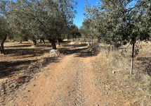 ÇANAKKALE GEYİKLİ MECİDİYEKÖY 1000M2 İÇİNDE EVI OLAN HOBI BAHÇESİ